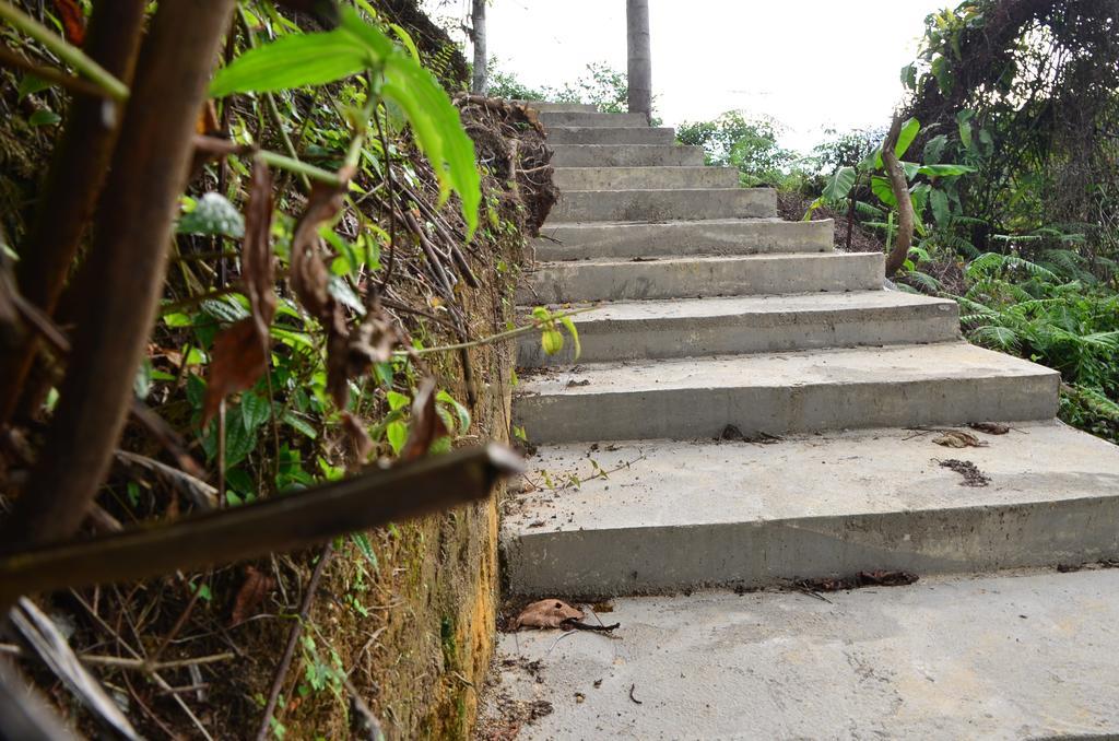 The Woodz Homestay ตานาห์ราตา ภายนอก รูปภาพ